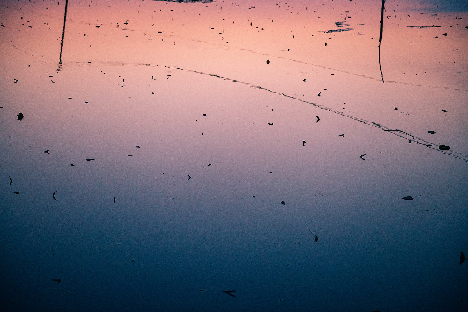 Reflections