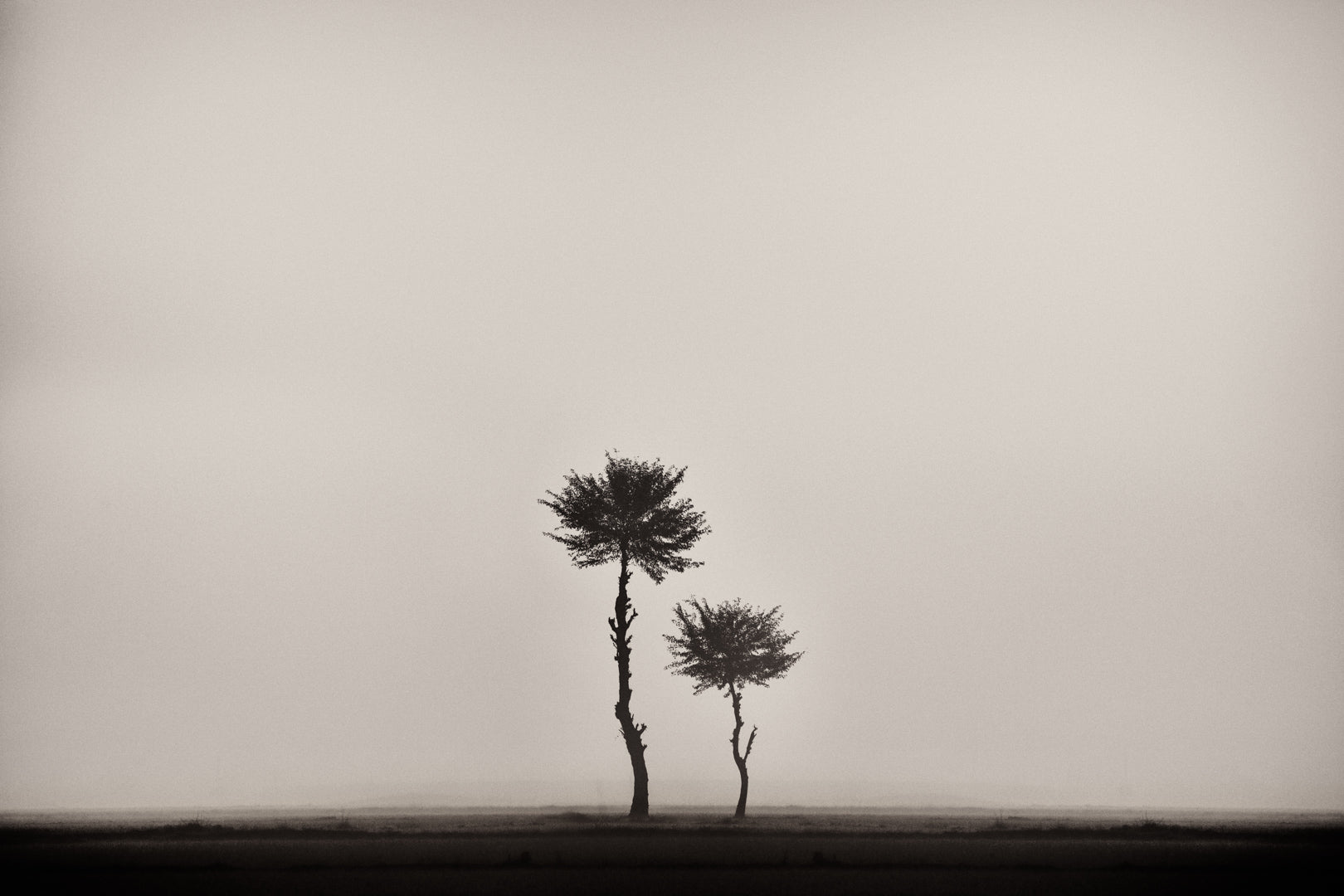 Misty Morning
