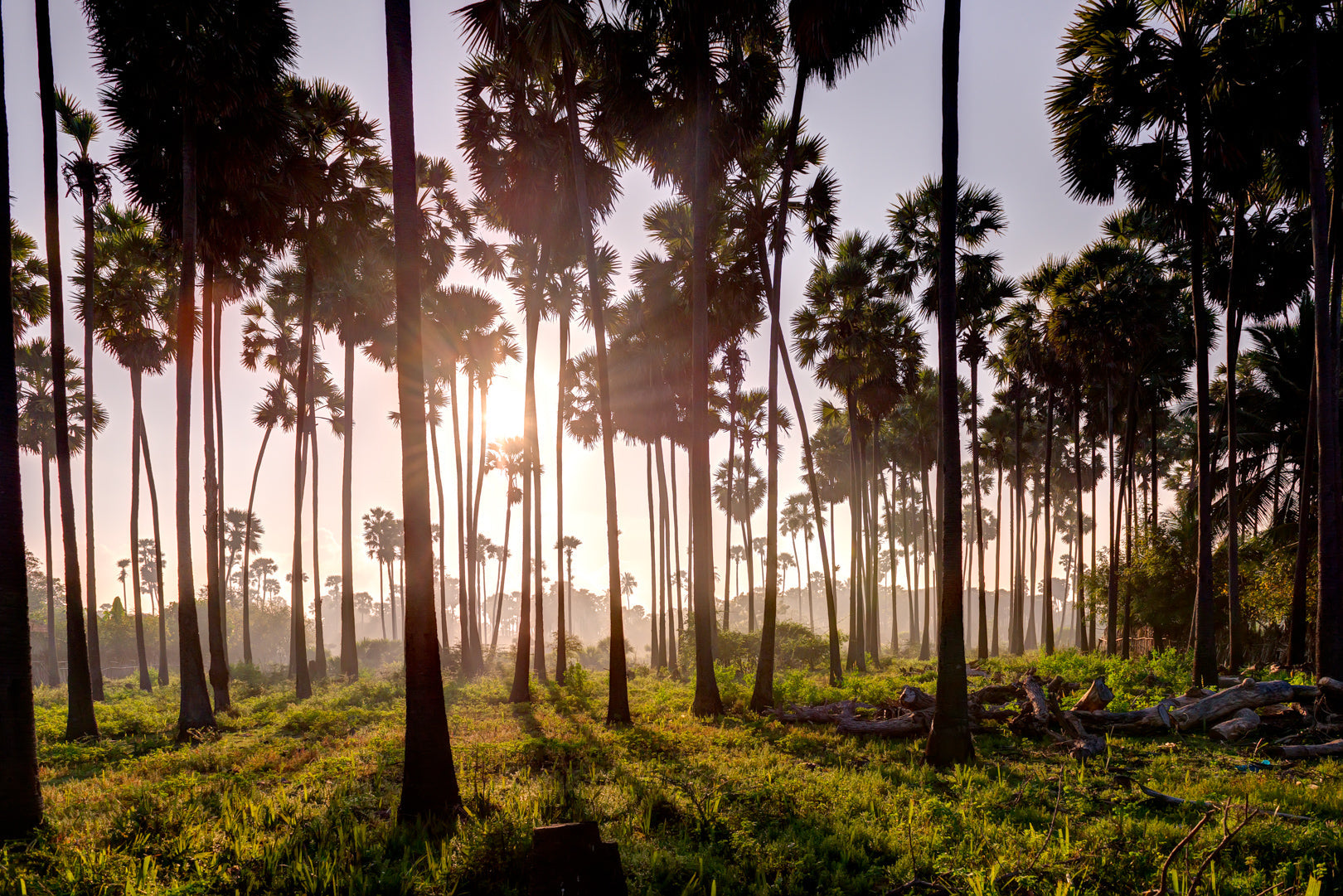 Sri Lanka