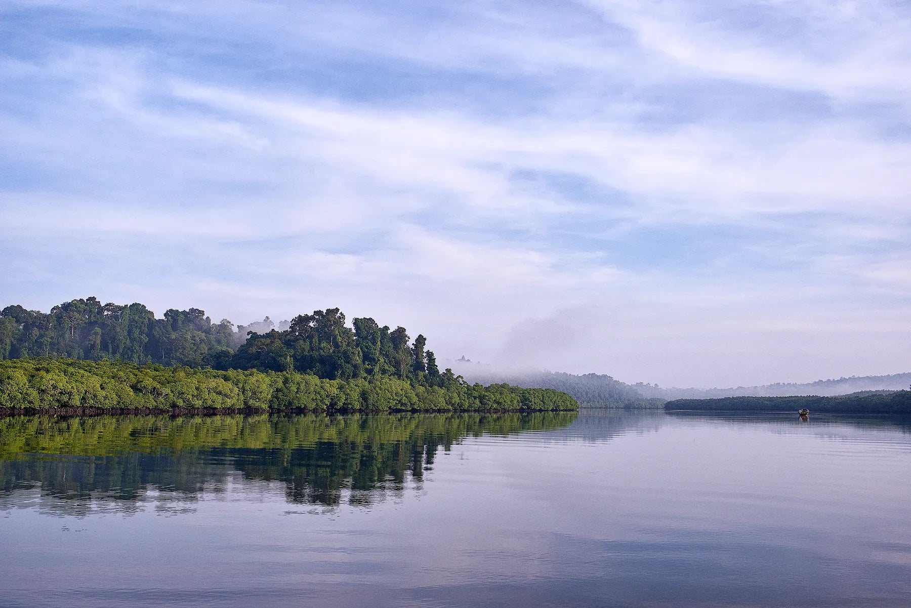 Nature’s Mirror II