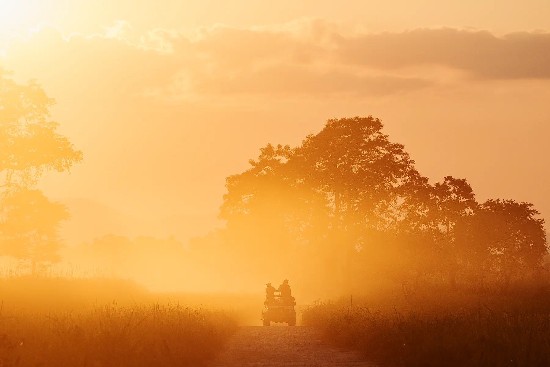 Journey in Light