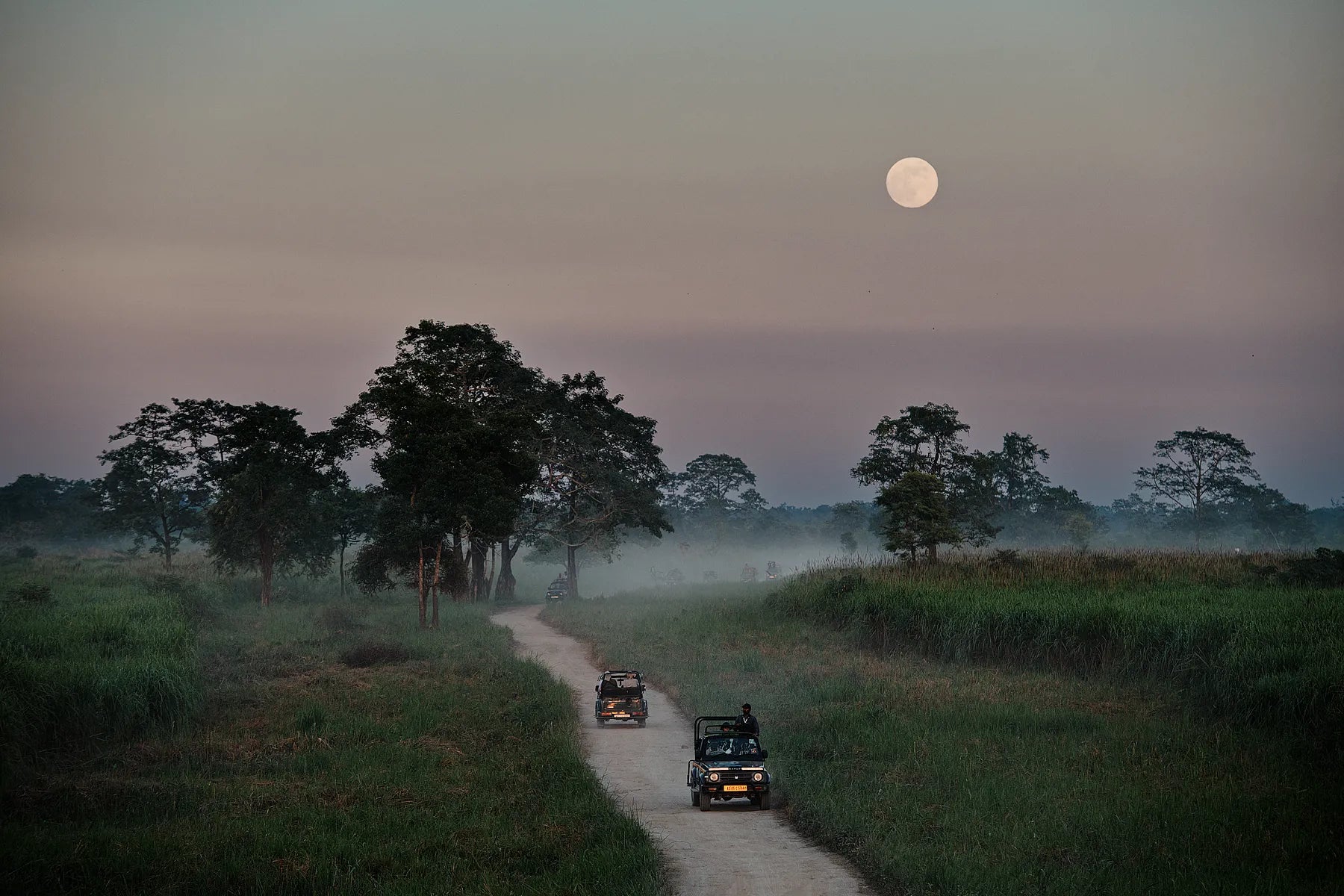 Moonlit Trail I