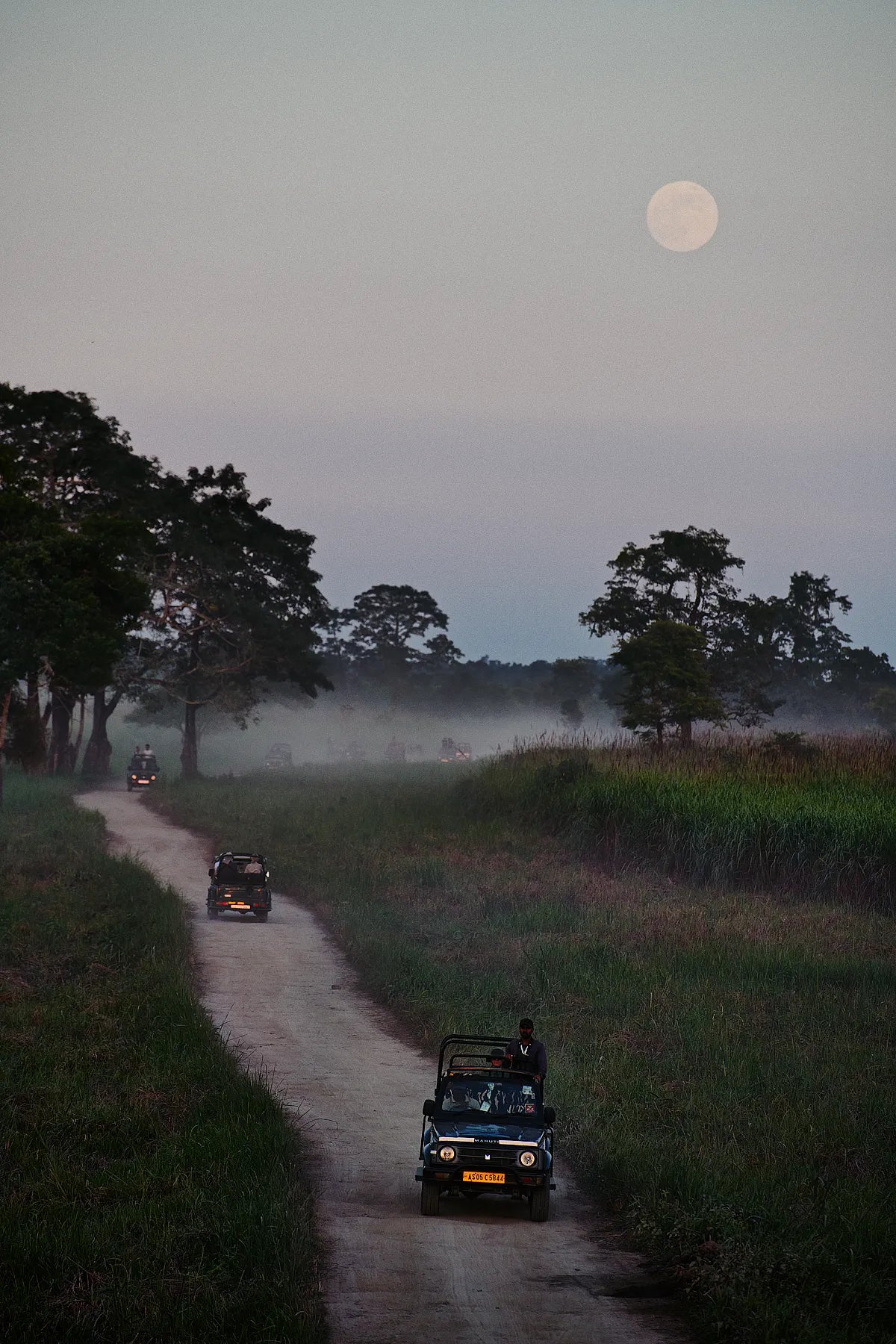 Moonlit Trail II