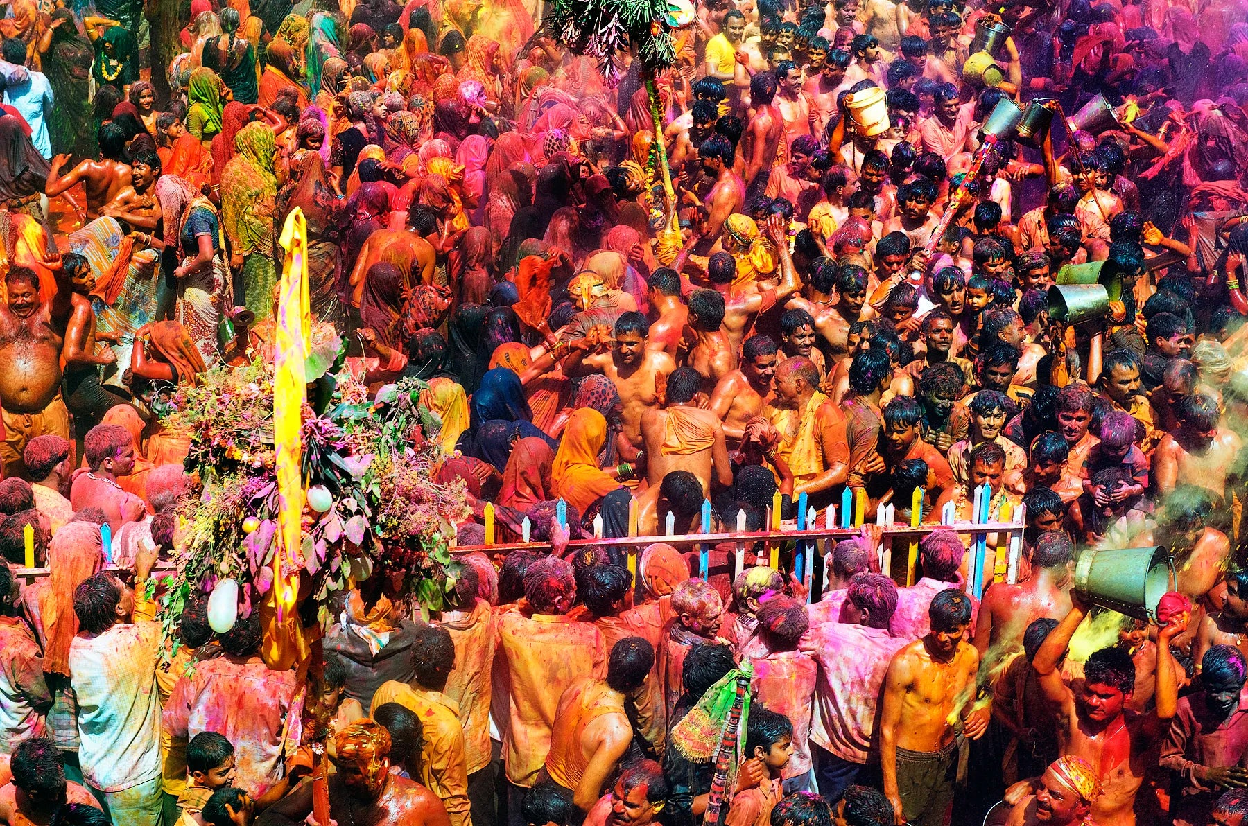 Riot of Colors
