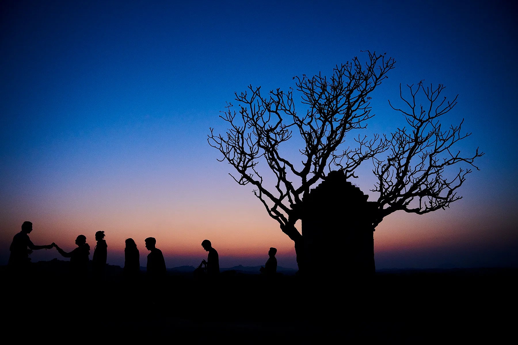 Silhouettes at Dusk