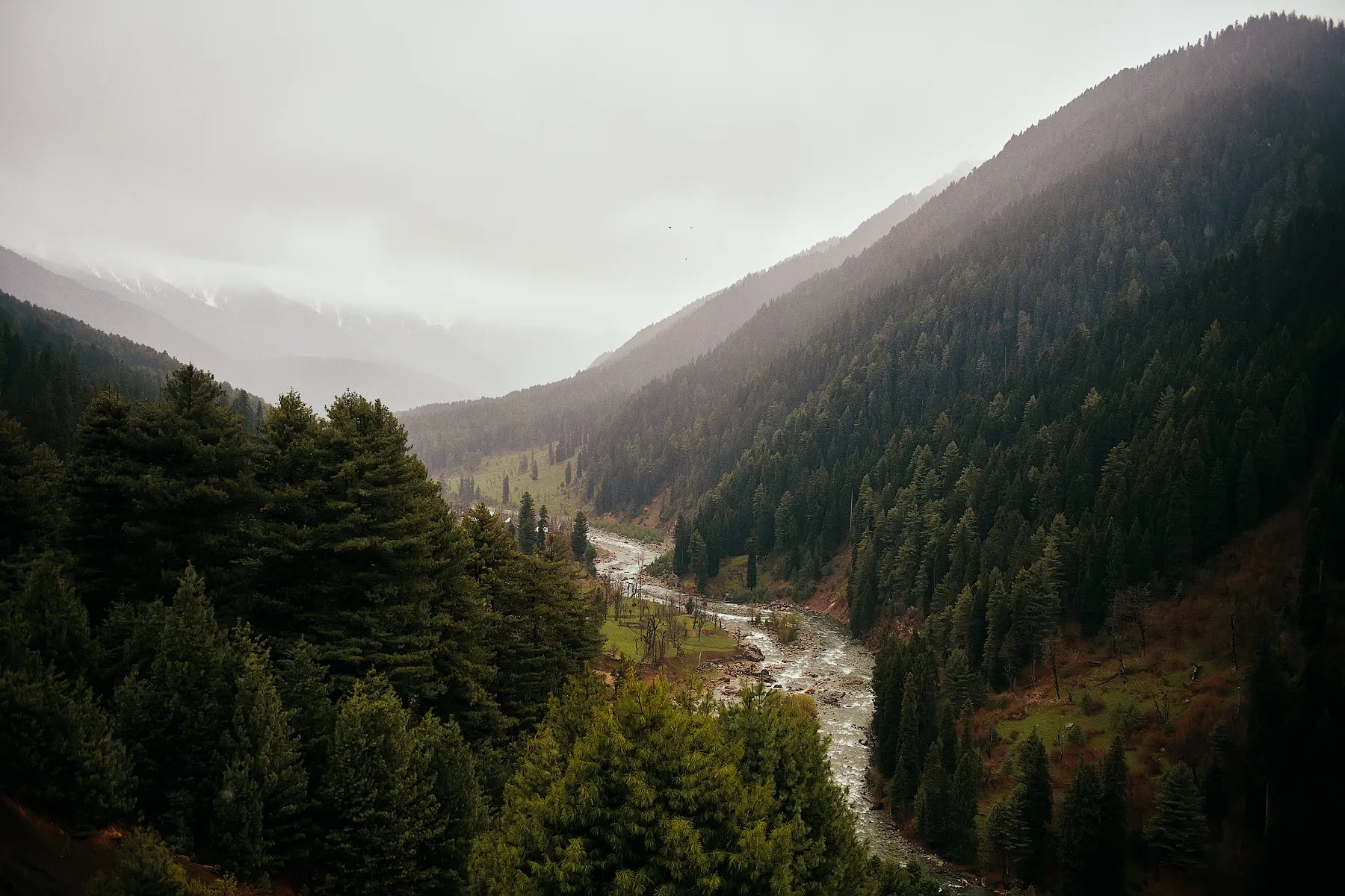 Whispers of Pahalgam