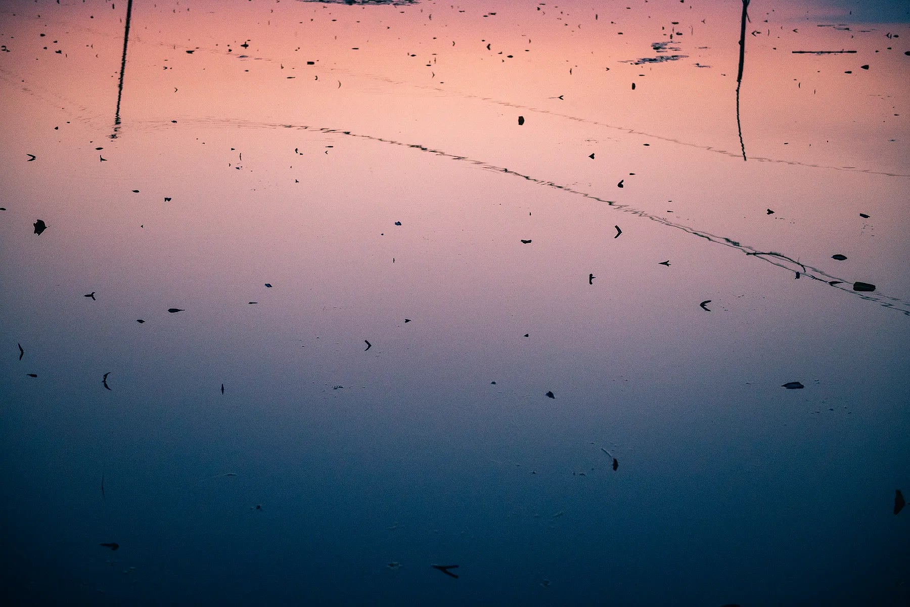 Hues of Nagin Lake