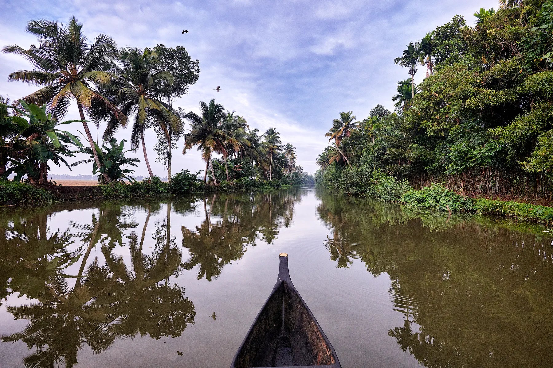 Backwaters of Kerala