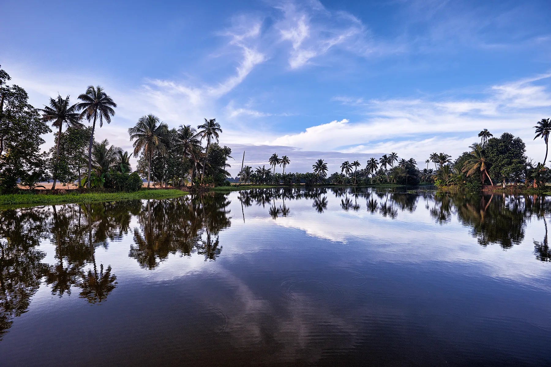 Backwaters of Kerala II