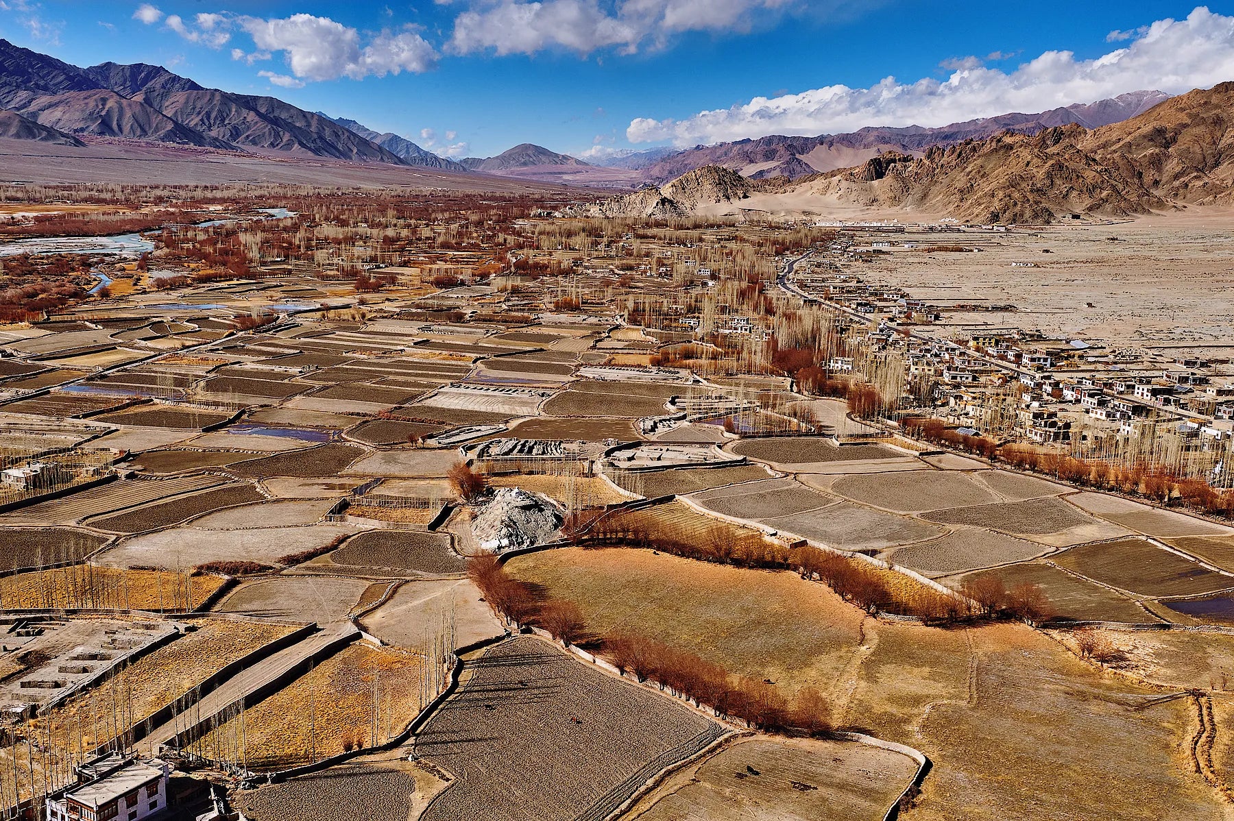 View from Thiksey Gompa I