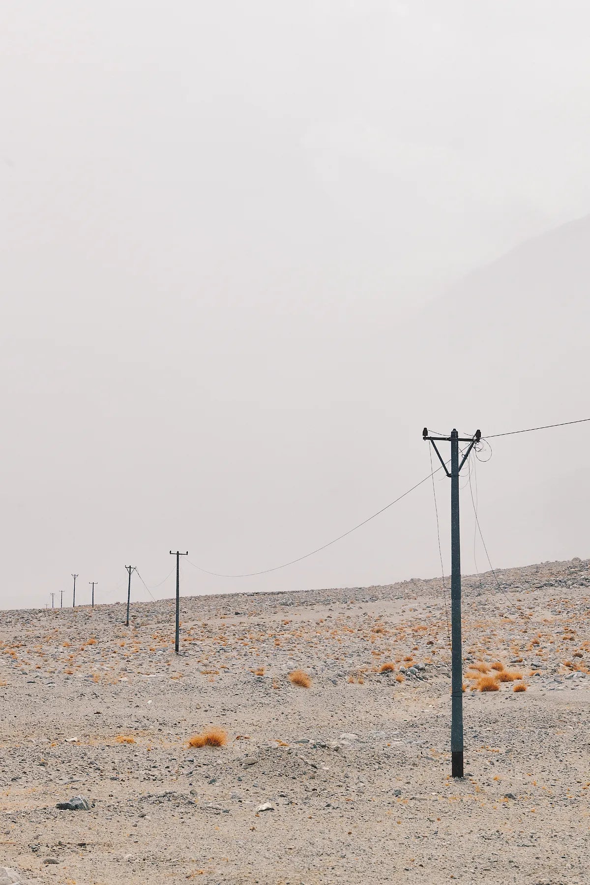 Desert Connection