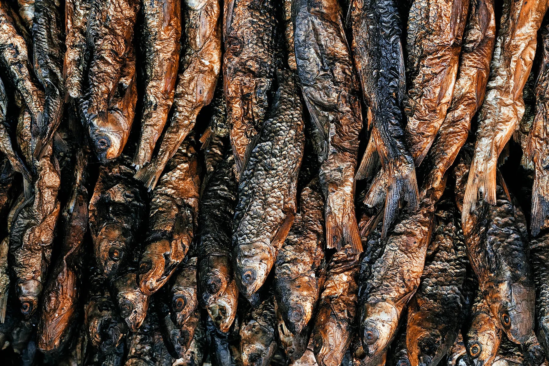 Fish on Sale
