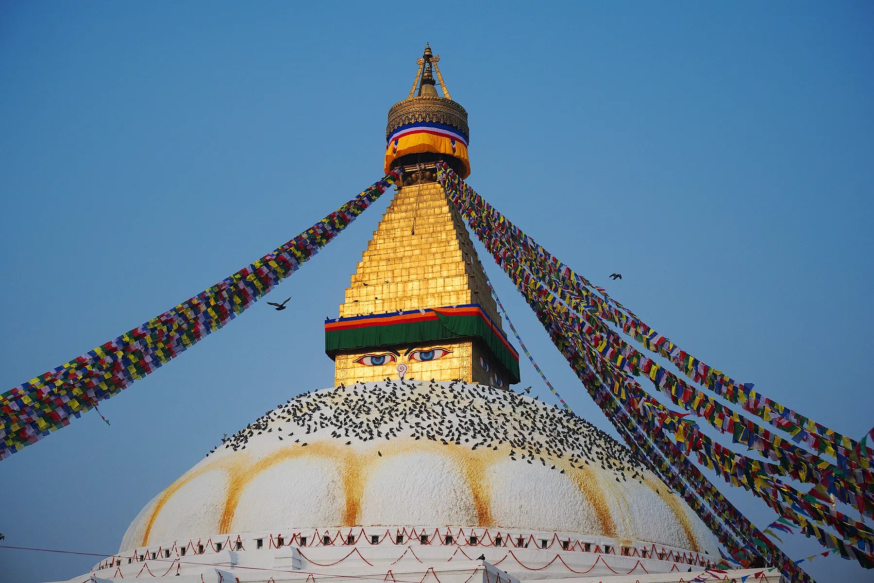 The Boudha