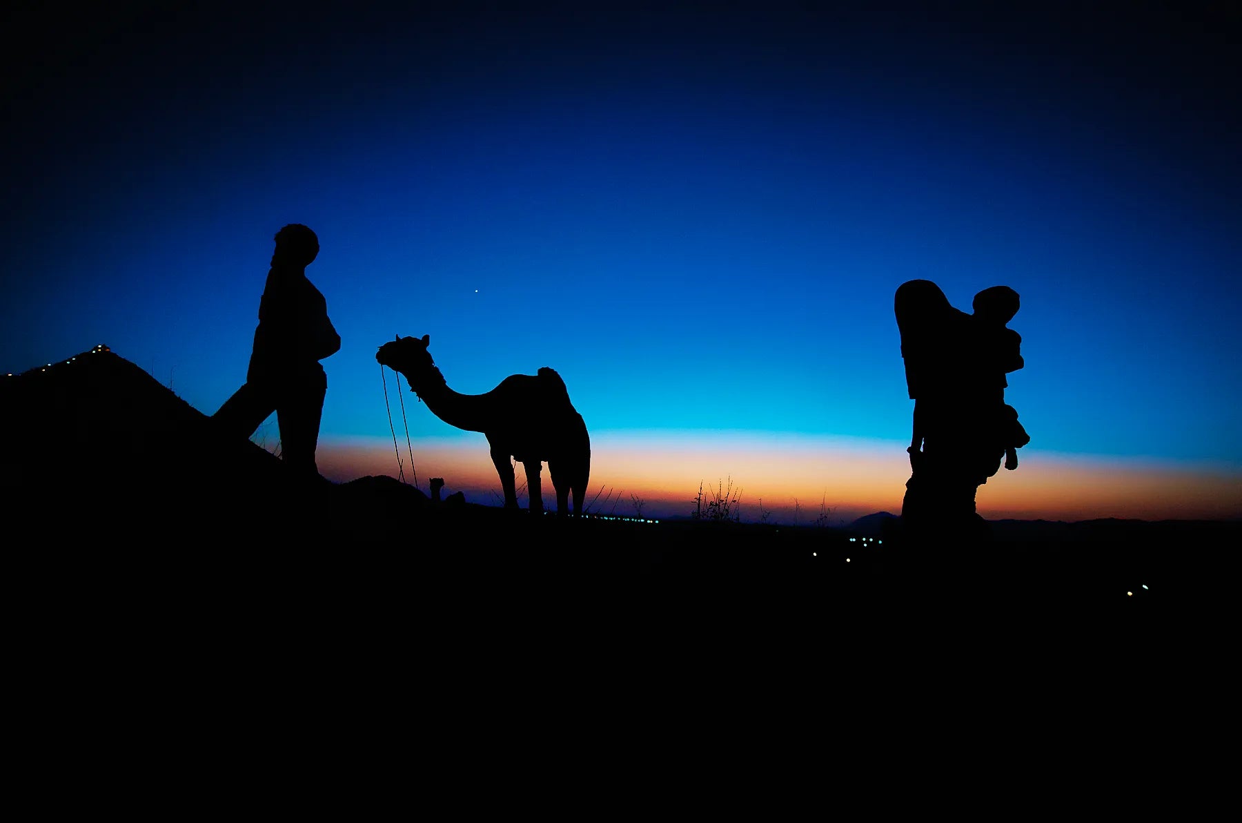 Desert Dreams